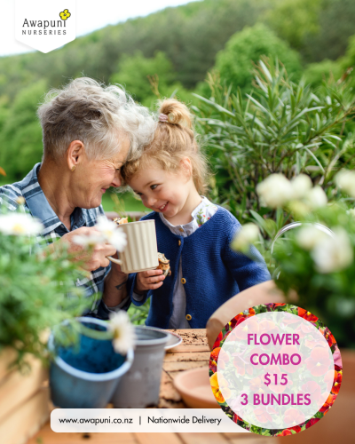 Flower Combo - 3 Bundles Mixed